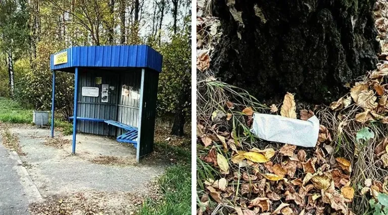 Жительница Орши отдала мошенникам сбережения в Минске